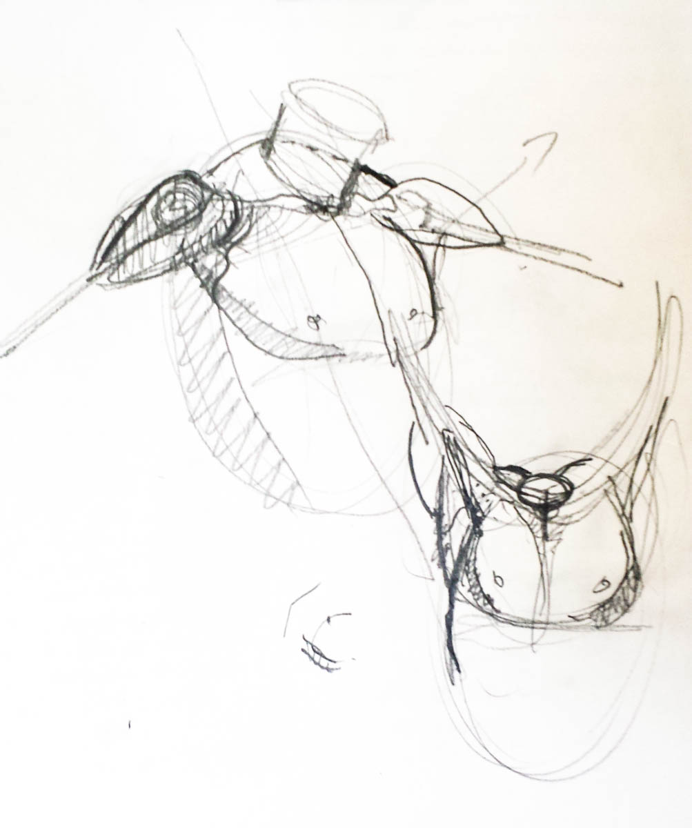 You are currently viewing Cours d’anatomie artistique