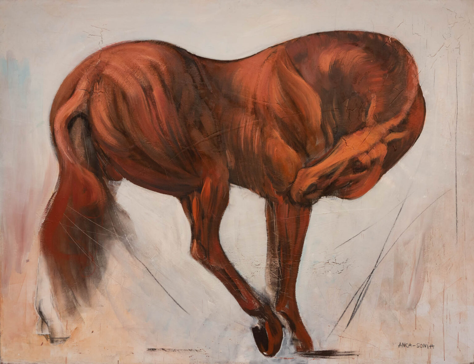 Chevaux 37